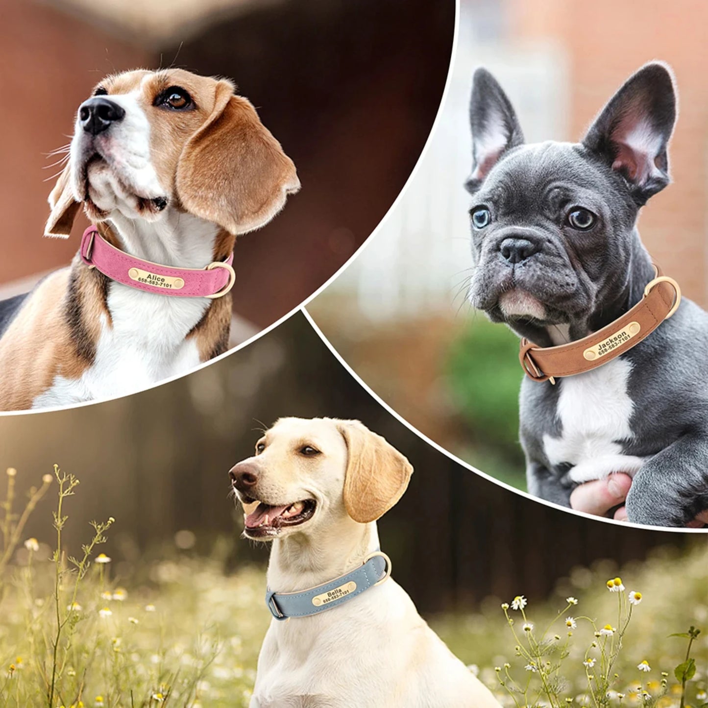 New Soft Padded Personalized PU Leather Dog Collar with Free Engraved ID Tag for Small, Medium and Large Dogs